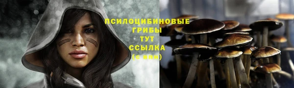 синтетический гашиш Беломорск