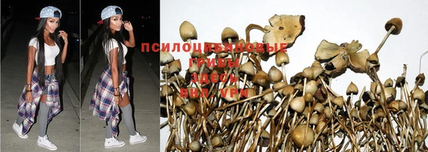 spice Белокуриха