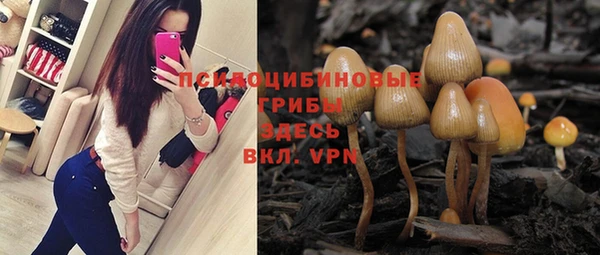 дмт Белоозёрский
