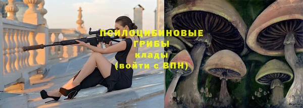 spice Белокуриха